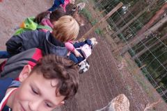 wildfreigehege_004