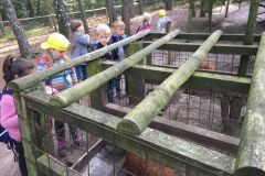 wildfreigehege_059