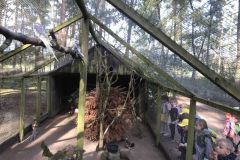 wildfreigehege_062