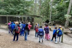 wildfreigehege_067