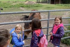 wildfreigehege_108