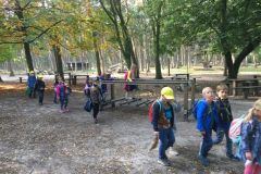 wildfreigehege_122
