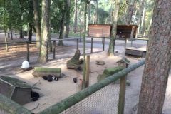 wildfreigehege_131