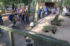 wildfreigehege_154