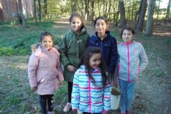 herbstschatzsuche2_14_20181101_1819621691