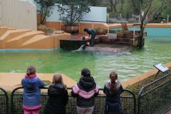 zoobesuch_2022_057