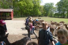 klassenfahrt_75_20180618_1222502810