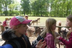 klassenfahrt_76_20180618_1409987803