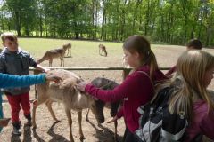 klassenfahrt_77_20180618_1639494497