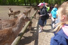 klassenfahrt_78_20180618_1047191064