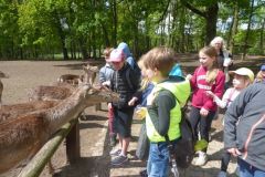 klassenfahrt_79_20180618_1077097134