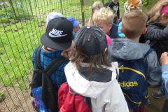 klassenfahrt_84_20180618_1838789934
