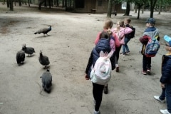 IMG_20230602_090233