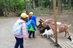 IMG_20230602_090348
