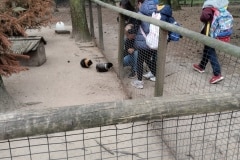 IMG_20230602_091159