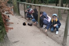 IMG_20230602_091205