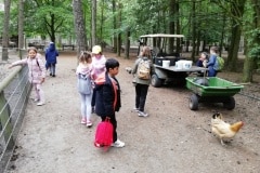 IMG_20230602_091815