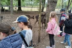 IMG_20230602_095544