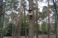 IMG_20230602_095829