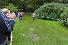 waldlauf_27_20191010_1104148038