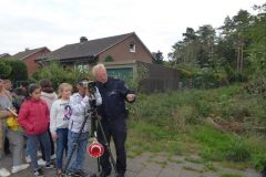 steinfurt_gelb_36_20180918_1080864356