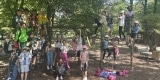 Wildfreigehege